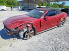 2016 Ford Mustang Red vin: 1FATP8EM6G5257623