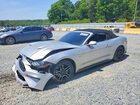 2019 Ford Mustang Gt Silver vin: 1FATP8FF0K5179512