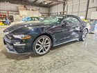 2019 Ford Mustang Black vin: 1FATP8UH5K5204537