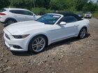 2017 Ford Mustang White vin: 1FATP8UH7H5211966
