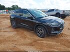 2023 Ford Escape Phev Black vin: 1FMCU0E19PUA91884