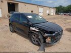 2023 Ford Escape St-line Black vin: 1FMCU0MN0PUA95259