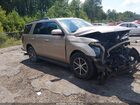2020 Ford Expedition Xlt Gold vin: 1FMJU1HT8LEA17208