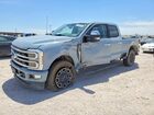 2024 Ford F250 Super Duty Gray vin: 1FT8W2BT9RED17621