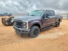 2023 Ford F250 Super Duty Gray vin: 1FT8W2BTXPEC99675