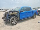 1FTEW1CPXMKE81811