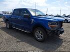 2025 Ford F-150 Xlt Blue vin: 1FTEW3LP4SKE13688
