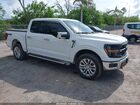 2024 Ford F-150 Xlt White vin: 1FTFW3L83RKE37813