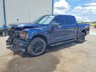 2025 Ford F150 Xlt Blue vin: 1FTFW3LD2SFB57490