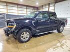 2024 Ford F150 Xlt Black vin: 1FTFW3LDXRFA63061