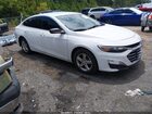 2023 Chevrolet Malibu Fwd 1fl Белый vin: 1G1ZC5ST2PF127058