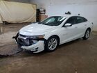 2019 Chevrolet Malibu Lt White vin: 1G1ZD5ST1KF179030