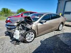 2024 Chevrolet Malibu Lt Beige vin: 1G1ZD5ST7RF235885