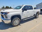 2023 Chevrolet Silverado 1500 White vin: 1GC4YNEY6PF178427