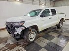 2023 Chevrolet Colorado White vin: 1GCGTBEC4P1161900