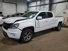2019 Chevrolet Colorado Z71 White vin: 1GCGTDEN2K1353287
