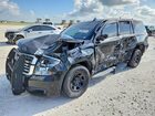 2020 Chevrolet Tahoe Police Black vin: 1GNLCDEC7LR224744