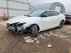 2019 Nissan Maxima 3.5 Sr White vin: 1N4AA6AV8KC384860