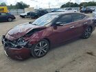 2020 Nissan Maxima Sl Бордовый vin: 1N4AA6DV0LC375258