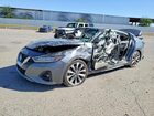 2023 Nissan Maxima Platinum Gray vin: 1N4AA6FV9PC504911