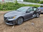 2024 Nissan Altima Sv Gray vin: 1N4BL4DV6RN356388