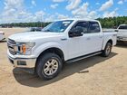 1FTEW1EP5JKC33961