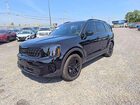 2025 Kia Telluride Ex X-line Black vin: 5XYP3DGC2SG614607