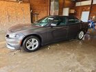 2019 Dodge Charger Sxt Gray vin: 2C3CDXBG0KH711270