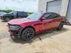 2021 Dodge Charger Sxt Burgundy vin: 2C3CDXBG3MH522485