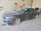 2018 Dodge Charger Sxt Gray vin: 2C3CDXBG5JH272307