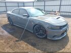 2019 Dodge Charger Scat Pack Rwd Gray vin: 2C3CDXGJXKH535378