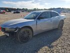 2019 Dodge Charger Sxt Gray vin: 2C3CDXJG2KH743445