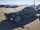 2019 Cadillac Xts Черный vin: 2G61U5S3XK9158757