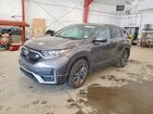2022 Honda Cr-v Exl Gray vin: 2HKRW2H81NH650350