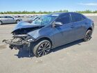 2019 Toyota Corolla Se Gray vin: 2T1BURHE5KC136182