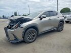 2023 Lexus Nx 250 Gray vin: 2T2ADCAZ0PC005170