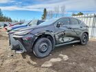 2022 Lexus Nx 250 Black vin: 2T2ADCEZ4NC001274