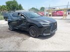 2025 Lexus Nx 250 Premium Black vin: 2T2GDCAZ5SC032402