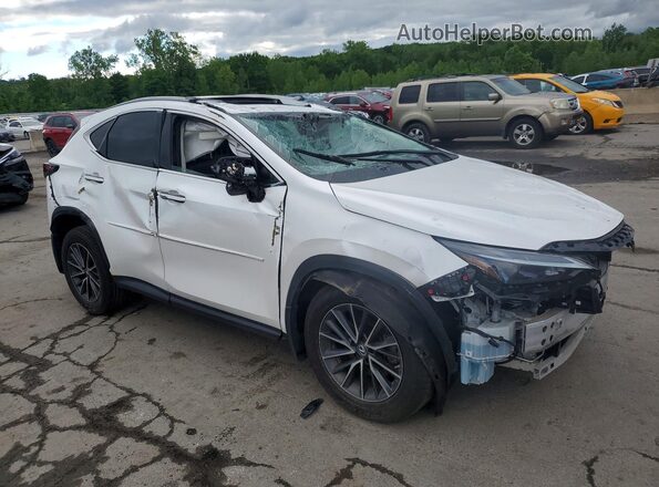 2022 LEXUS NX 350H