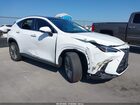 2026 Lexus Nx 350 Luxury White vin: 2T2HGCEZXTC102029