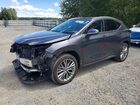 2024 Lexus Nx 350h Luxury Gray vin: 2T2HKCEZXRC024598