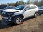 2020 Toyota Rav4 Le White vin: 2T3BWRFV9LW084236