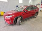 2019 Toyota Rav4 Xle Premium Red vin: 2T3C1RFV8KW040097