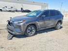 2023 Toyota Rav4 Le Gray vin: 2T3F1RFV3PC327028