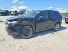 2023 Toyota Rav4 Le Black vin: 2T3F1RFV8PC387970