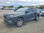 2019 Toyota Rav4 Le Серый vin: 2T3LWRFV8KW001186