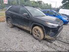 2025 Toyota Rav4 Xle Black vin: 2T3P1RFV4SC495810