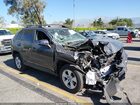 2021 Toyota Rav4 Xle Gray vin: 2T3P1RFV8MW180185