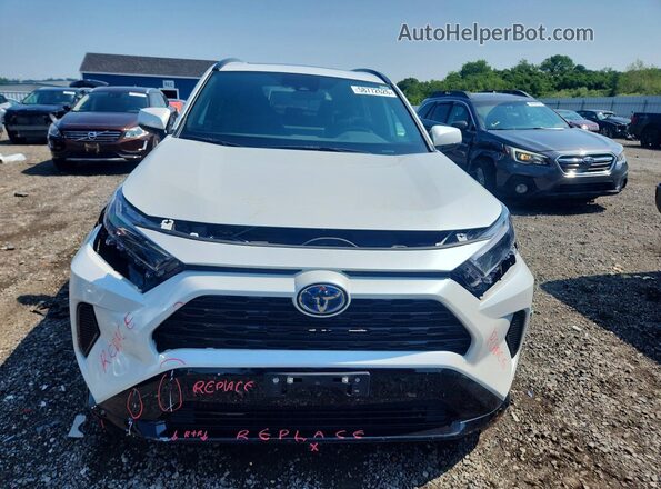 2024 TOYOTA RAV4 SE