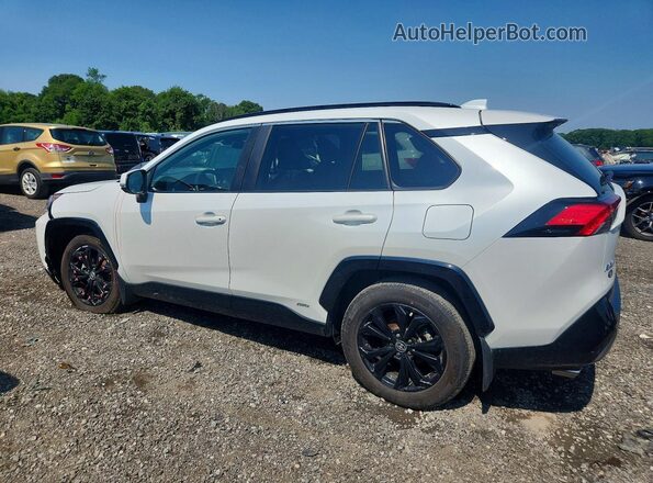 2024 TOYOTA RAV4 SE